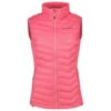 Columbia Powder Pass Vest